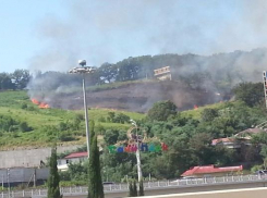 Рядом с аэропортом Сочи бушует пожар