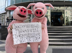 Будет много «просрочки» на прилавках магазинов в Краснодарском крае