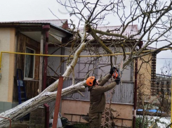 Штормовой ветер отрывает светофоры и валит деревья в Краснодарском крае