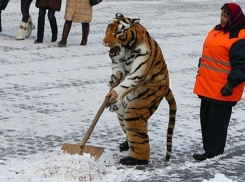 Краснодар готовится к ночному ухудшению погоды 