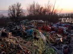 «Разнесется на огромные расстояния»: на берегу Кубани устроили незаконную свалку