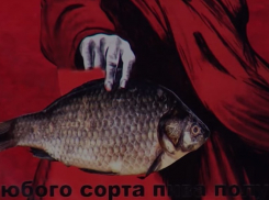 Хозяин «пивнушки» в Краснодаре ответит за рекламный баннер «Родина-мать с таранью»