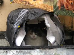 На смену 40-градусной жаре в Краснодарский край придёт дождь