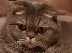 В ожидании новых потопов: синоптики снова спрогнозировали ливни и грозы на Кубани