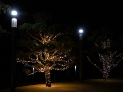 Праздник к нам приходит: в парке «Краснодар» включили новогоднюю иллюминацию и впервые поставили елку