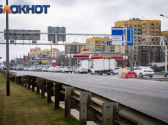 Важное в Краснодаре 7 марта: прогуливаем уроки, дарим тюльпаны, уважаем пауков, встречаем президента