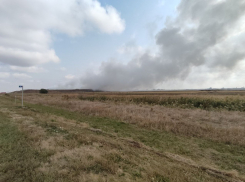 «Как фашисты травили людей, так и нас»: чем дышит станица Полтавская после пожара на мусорном полигоне