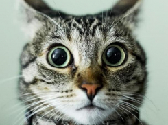 Коротко о погоде на Кубани: открыт сезон дождей