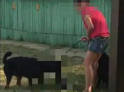 Хозяйку ротвейлера, который загрыз кошку на глазах у детей в Краснодаре, ищет полиция
