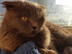  Дождей на Кубани не будет, но возможны заморозки 