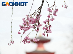 Облака закроют солнце на 8 Марта в Краснодаре