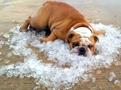 Экстренное предупреждение: кубанцев ждет сильная жара