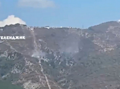 У канатной дороги в Геленджике вспыхнул лесной пожар