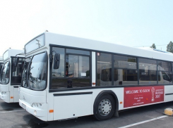 Для Кубка конфедераций в Сочи закупят 60 новых автобусов