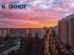 Важное в Краснодаре 9 декабря: не обижать животных, пить имбирный чай и помнить о геноциде