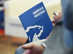«Единая Россия» планирует внести коррективы в документ бюджета ко второму чтению