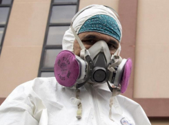 Самому маленькому пациенту с ковидом всего 11 месяцев: подробности по заболеваемости 24 января 