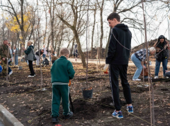 Фруктовый маршрут: DOGMA высадила плодовую аллею в микрорайоне «Самолет»
