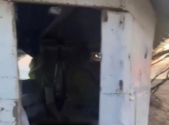 Полиция Краснодарского края проверит информацию о повешенном за хвост дельфине