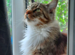 Изнуряющая жара задержится в Краснодарском крае