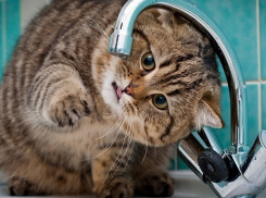 В Сочи из-за аварии на водопроводе отключили воду 