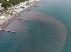 Видео с загрязнением у берегов Сочи всполошило интернет