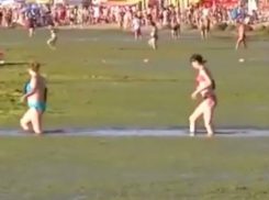 «Как в коровнике!» - отдыхающие на пляже Анапы возмутились «непроходимыми болотами»