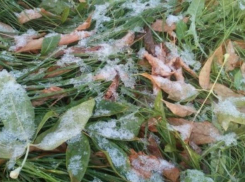  Из-за заморозков на Кубани объявили экстренное предупреждение 