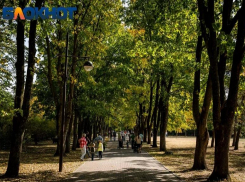 В Краснодаре 25 марта потеплеет до +18 градусов 