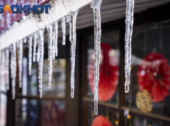 В Краснодаре рассказали, что важного произойдет 25 января