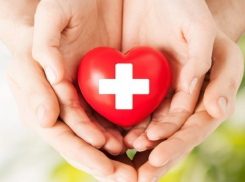 Целый день посвятят здоровью в Краснодаре