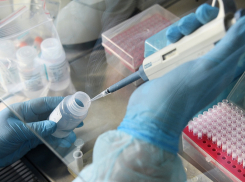 Как обстоит ситуация с коронавирусом на Кубани на 26 мая 