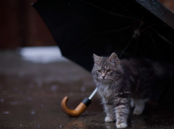  8 Марта в Краснодарском крае испортят дожди 