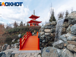 Большая часть краснодарцев не пошла бы в Японский сад за деньги