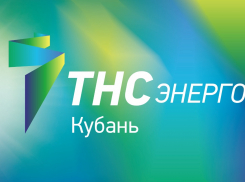 Полезный отпуск электроэнергии населению «ТНС энерго Кубань» в 2020 году вырос на 9,6% 