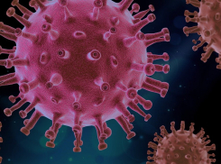 На Кубани за сутки еще 496 человек заразились коронавирусом