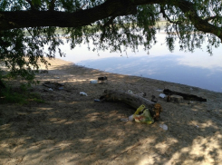 Краснодарцы возмущены состоянием некогда самого экологически чистого микрорайона «Юбилейный»