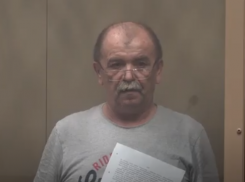 Убивший кувалдой 8-летнюю девочку житель Краснодарского края проведет в колонии 11 лет