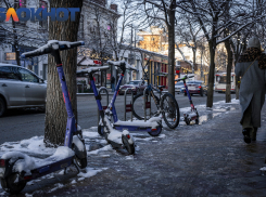 Краснодарцев предупредили о ветре с порывами до 15 м/с