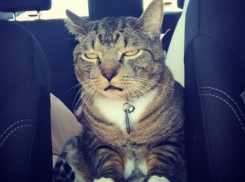 Для жителей Кубани среда будет жаркой и безоблачной