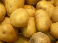Картофельный кризис наступает в Краснодарском крае