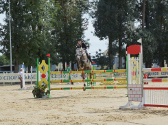 На Кубани прошел краевой турнир по конному спорту