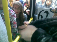 Власти Краснодара не согласны с жалобами на нехватку маршруток на ул. Российской 