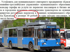 Сюрприз от мэрии Краснодара: стоимость проезда в троллейбусе и трамвае повысится до 30 рублей
