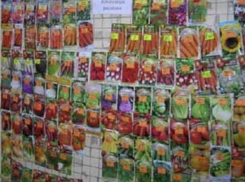 С нарушением закона продавался семенной материал в Краснодаре