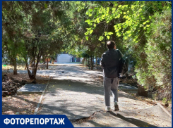 Голубиный пляж и перевёрнутые лавочки: как выглядит названный в честь Рахманинова сквер в Краснодаре