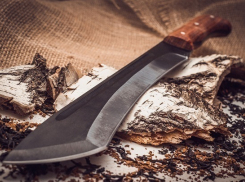 В Краснодаре пьяница ради денег угрожал своей пожилой матери мачете