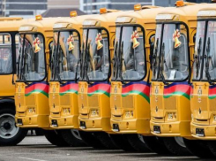 Школы Кубани получили 42 новых автобуса