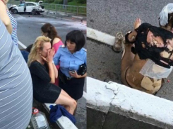 Скончалась девушка, обгоревшая в полыхающем BMW в Сочи