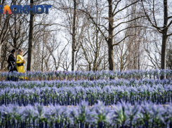 Важное в Краснодаре 1 марта: поздравляем кошек, молимся, не стираем